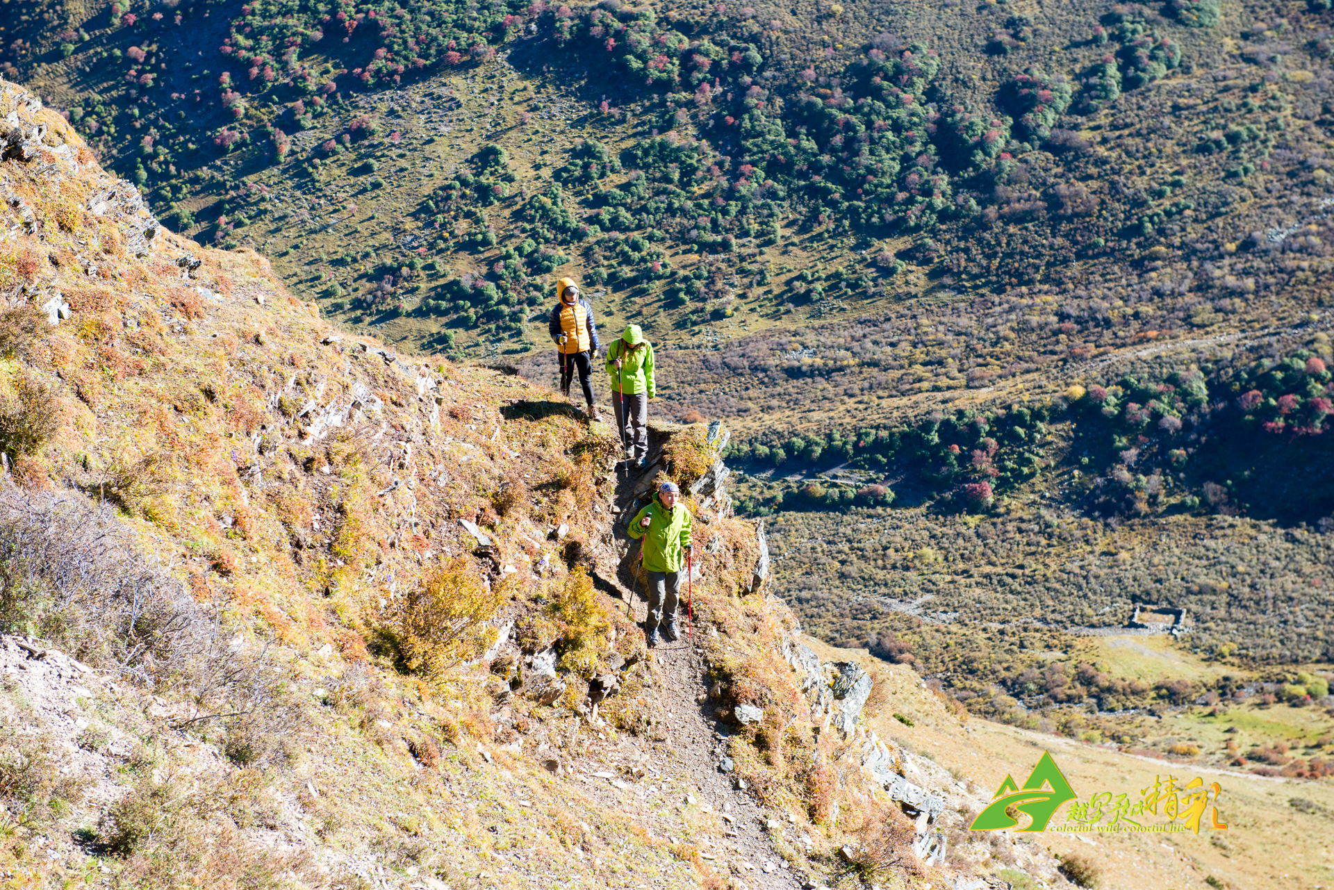 S巴克利队 S巴克利队