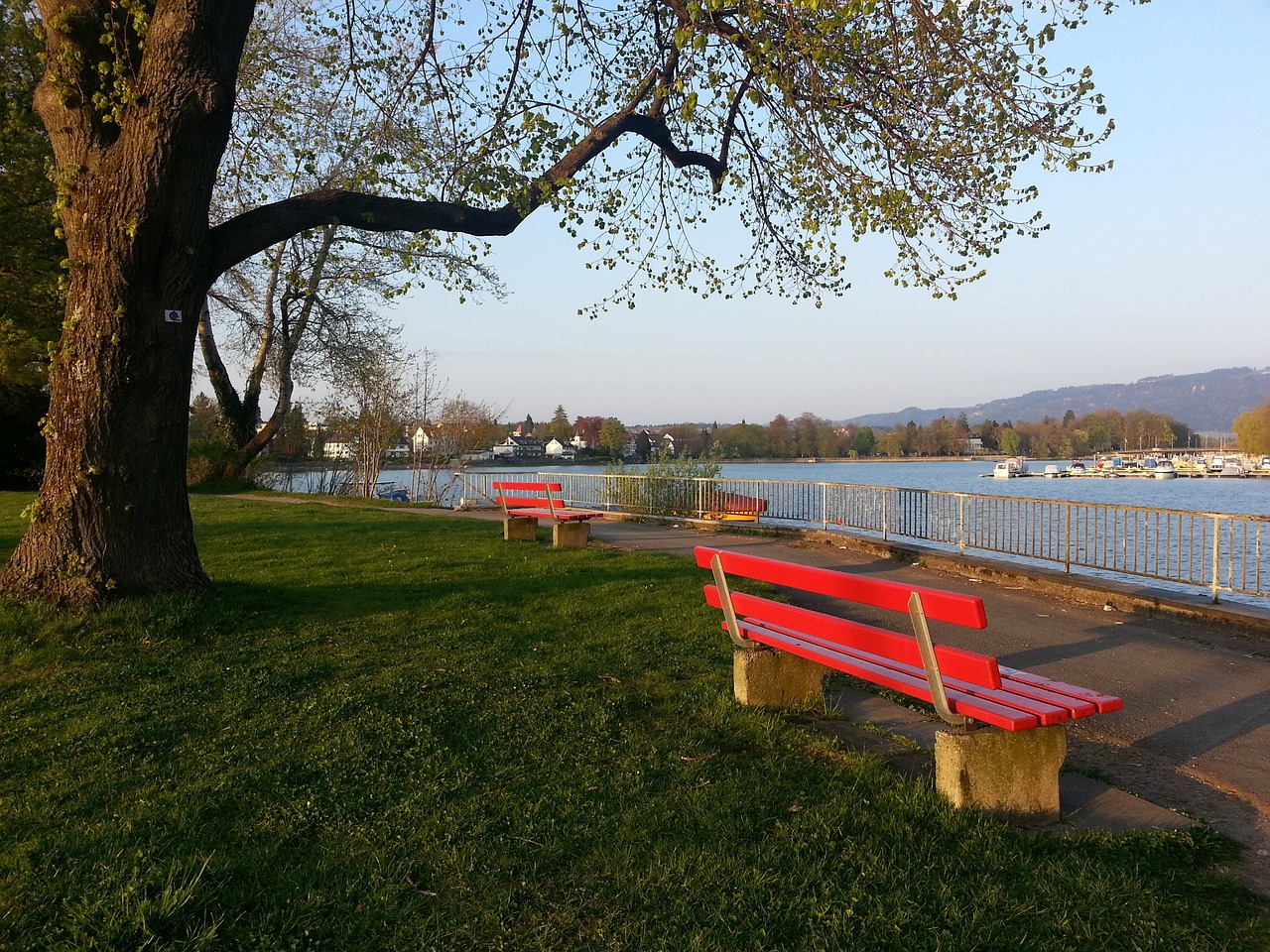 巴克利队从 巴克利队从