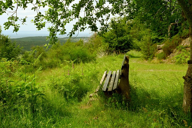 正确的环境 正确的环境